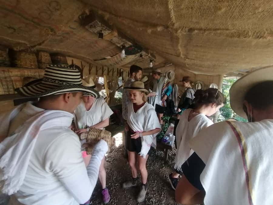 Salento: Private Cocora Valley, Salento & Coffee Farm Tour - Learning to taste Colombian coffee