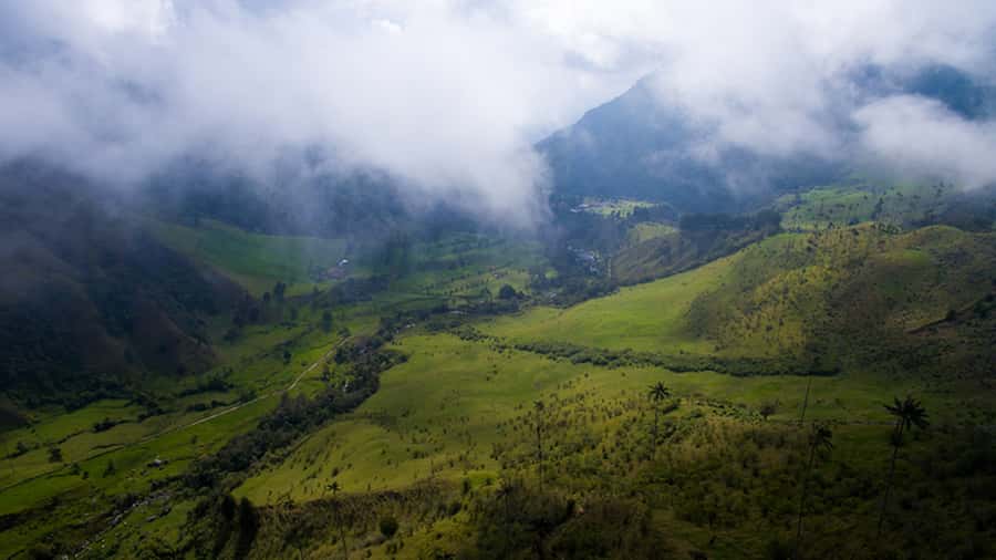 Salento: Private Cocora Valley, Salento & Coffee Farm Tour - Who should book this tour?