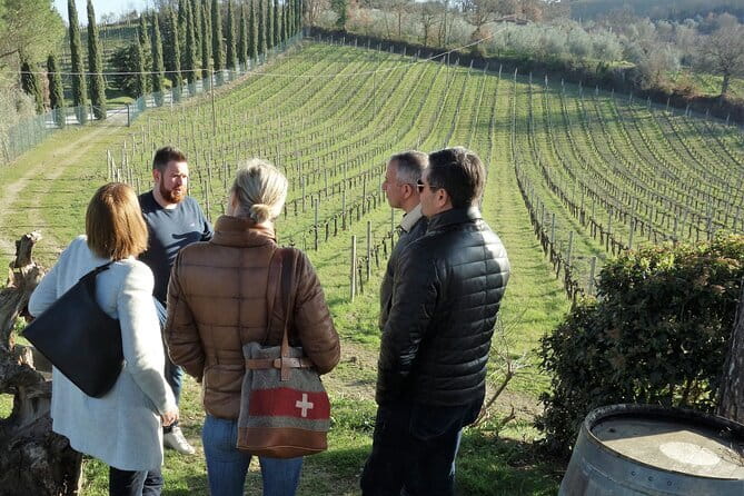 San Gimignano and Vernaccia Wine Tour with Lunch at Farm - A traditional Tuscan lunch at a farm