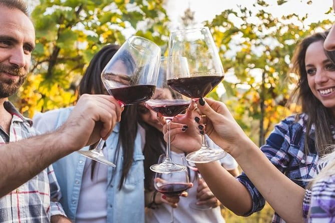 San Gimignano and Vernaccia Wine Tour with Lunch at Farm - Who will get the most from this day