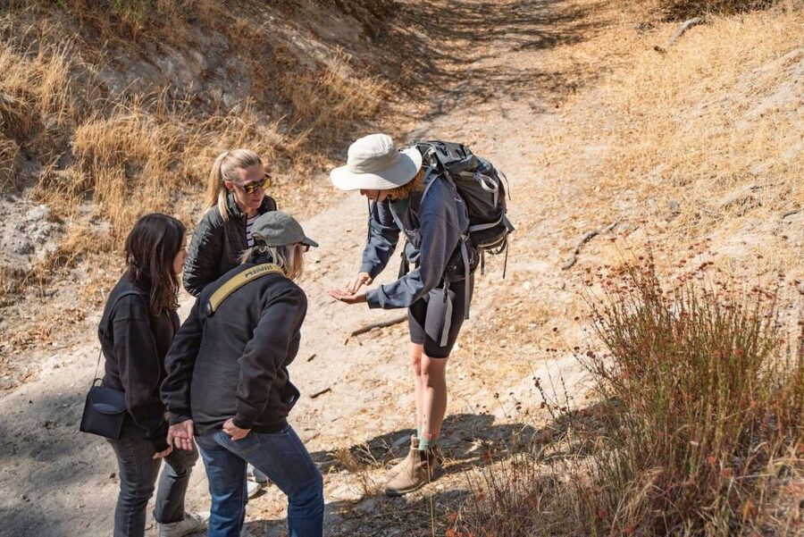 San Luis Obispo: Margarita Ranch Foraging Tour - What This Santa Margarita Ranch Tour Is Really About