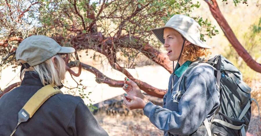 San Luis Obispo: Margarita Ranch Foraging Tour - Reading the Ranch Through Its Plants