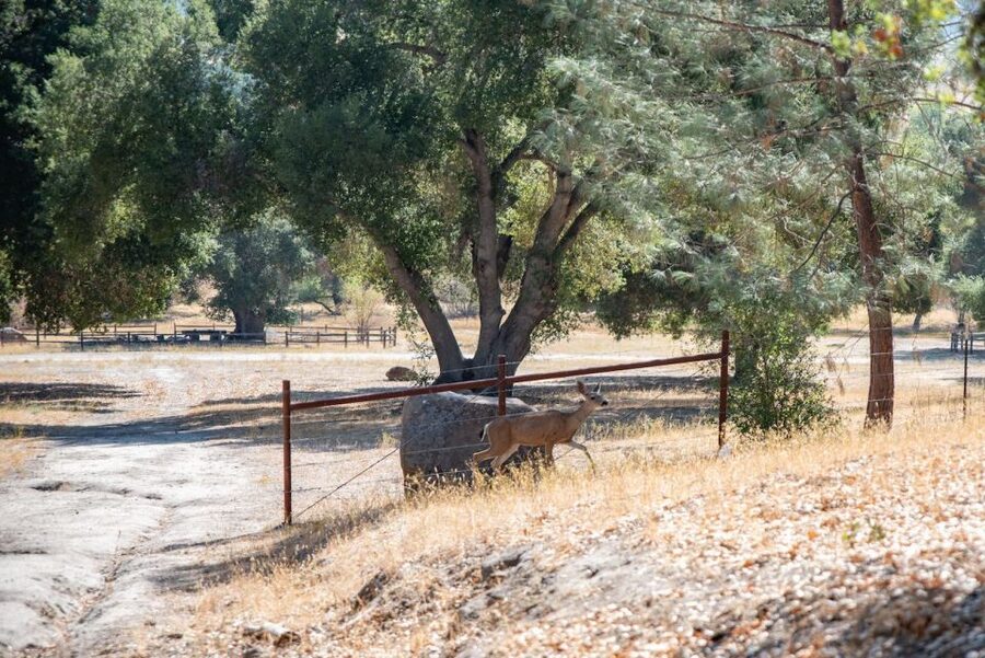 San Luis Obispo: Margarita Ranch Foraging Tour - Meeting at the Ranch and Getting Ready