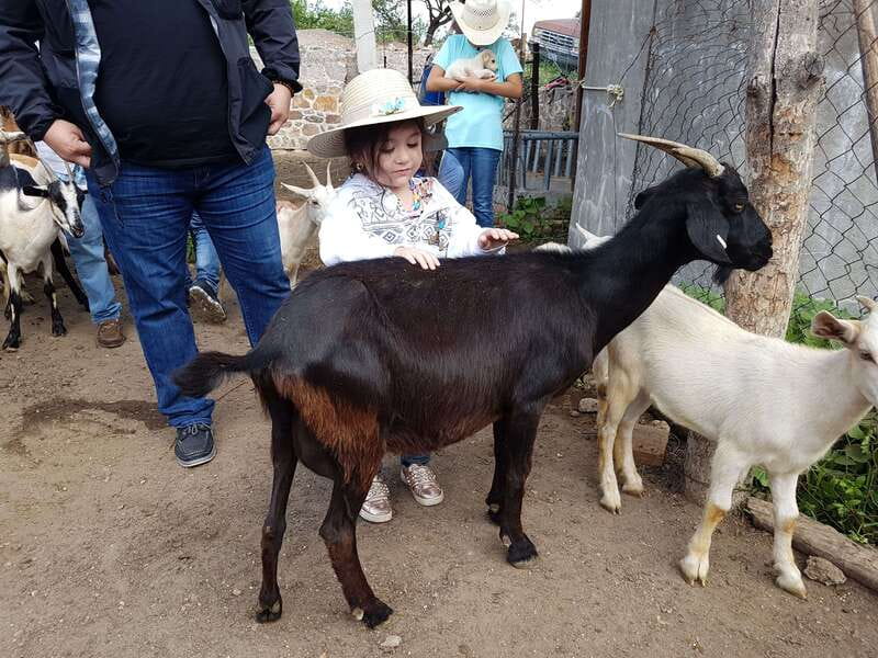 San Miguel de Allende: Full-Day Ranch Adventure - Should you book it?