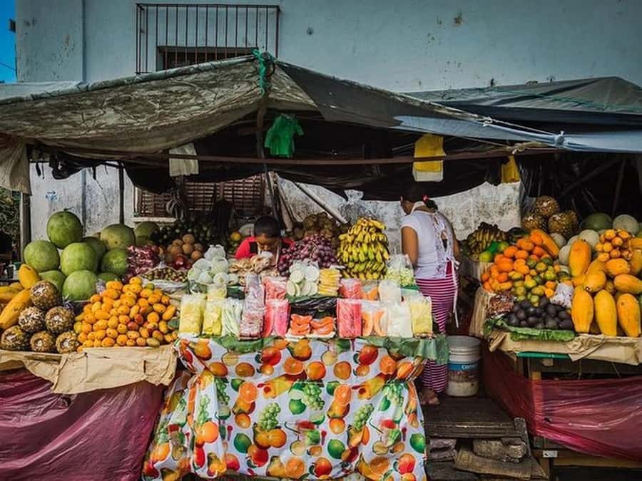 San Salvador: Full Day Ruta de Las Flores and Coffee Farm - Key points at a glance