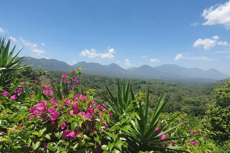 San Salvador: Full Day Ruta de Las Flores and Coffee Farm - Concepción de Ataco brings murals and food