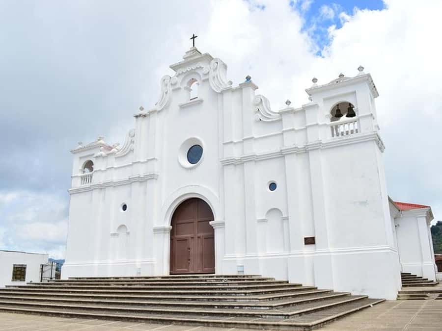 San Salvador: Full Day Ruta de Las Flores and Coffee Farm - Coffee plantation: the most distinctive stop