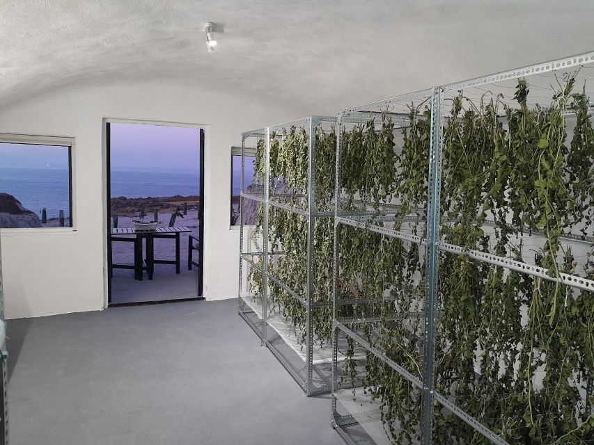 Santorini: Private Agri-Educational Visit to an Organic Farm - Key points to know before you book