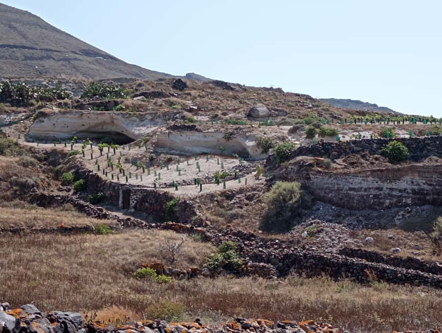 Santorini: Private Agri-Educational Visit to an Organic Farm - Why this farm visit gives Santorini a different face
