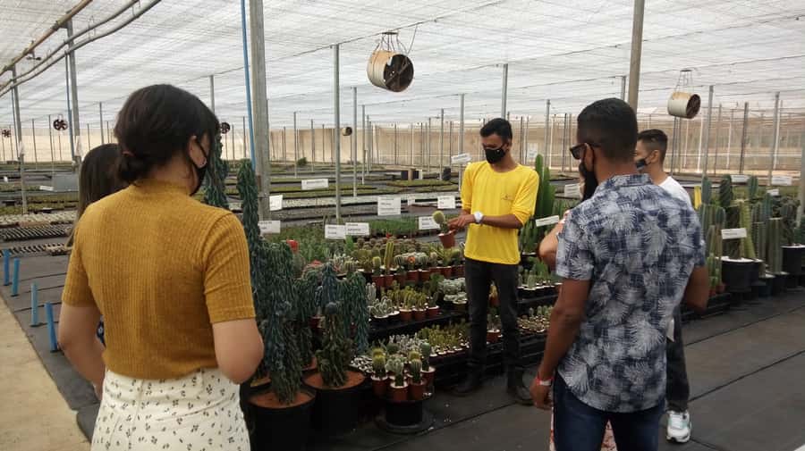 São Paulo: Holambra Colorful Flower Farm Guided Day Trip - The early part of the day, transport and pickup