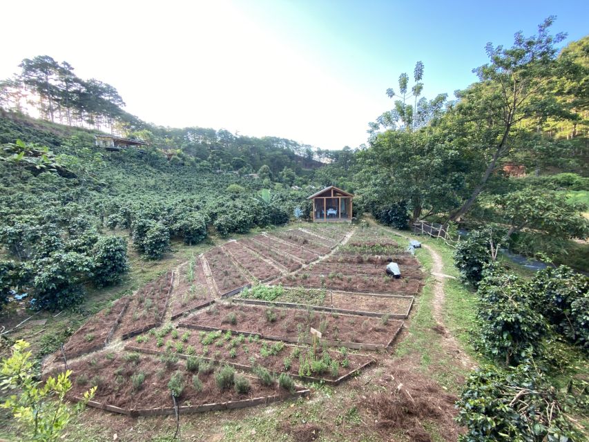 Scented candle workshop at Twin Beans Farm - Da Lat suburb - Choosing and blending your essential oils