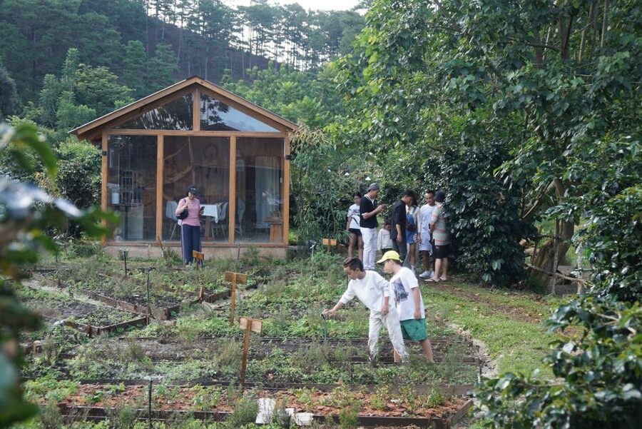 Scented candle workshop at Twin Beans Farm - Da Lat suburb - The farm setting and time beyond the class