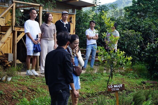 Scented Candle Workshop in Twin Beans Farm Da Lat - Coffee, the roastery, and possible add-ons