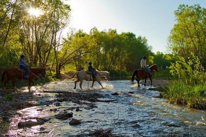 Sedona Horseback Rides At Dead Horse Ranch with River Crossing - The river crossing is the payoff