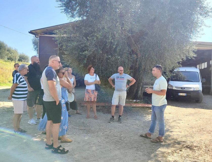 Seggiano: Typical Tuscan Farm Tour with Olive Oil Tasting - Should you book this Seggiano farm tour?