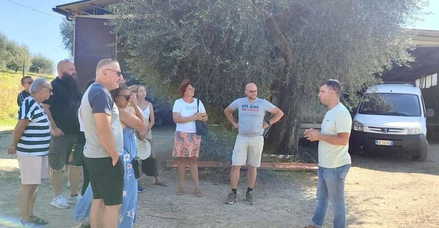 Seggiano: Typical Tuscan Farm Tour with Olive Oil Tasting - From olives to extra virgin oil