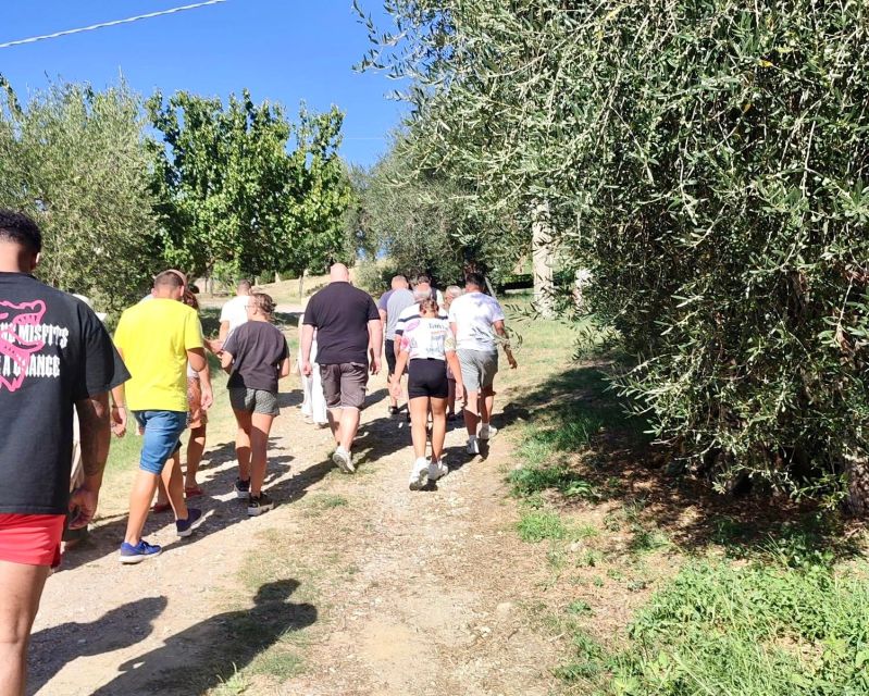 Seggiano: Typical Tuscan Farm Tour with Olive Oil Tasting - Price, timing, and getting there