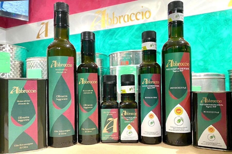 Seggiano: Typical Tuscan Farm Tour with Olive Oil Tasting - Beginning among the olive trees