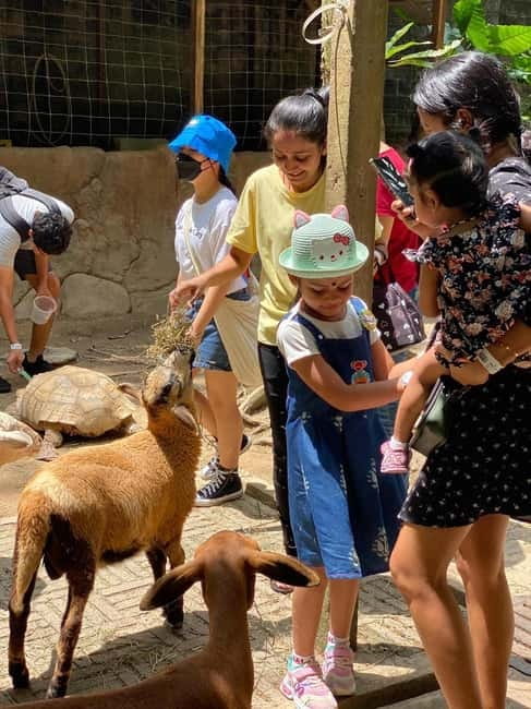 Selangor: Farm In The City Entry Ticket - Walking the paths, orchards, and animal areas