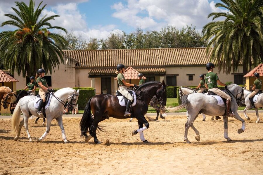 Seville: Horse's Show Entry Ticket. Optional Stud Farm Visit - The Traditions show brings the ideas together