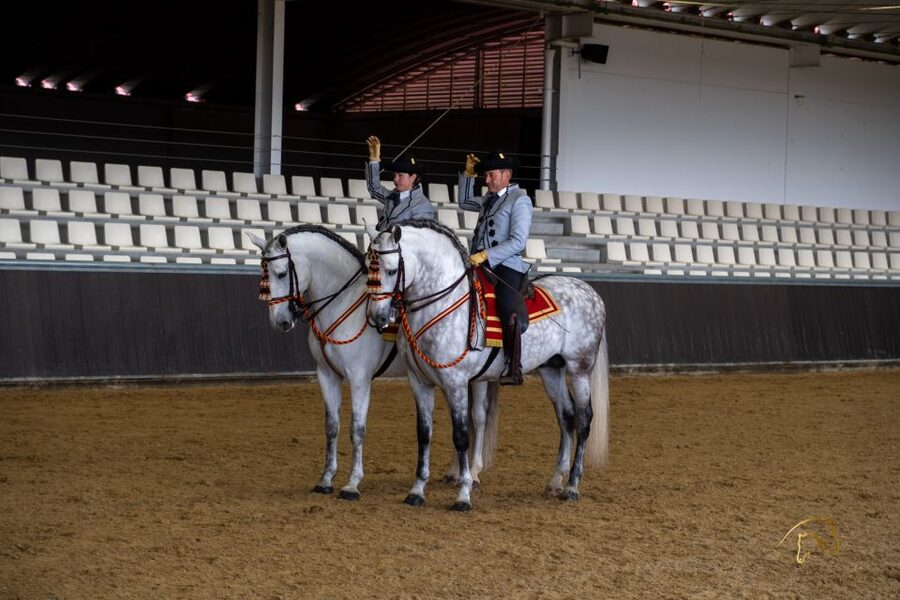 Seville: Horse's Show Entry Ticket. Optional Stud Farm Visit - Is the $35 price good value?