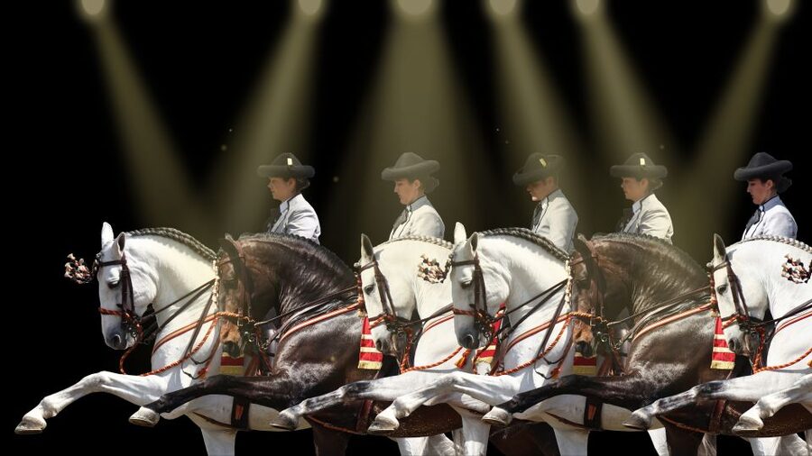 Seville: Horse's Show Entry Ticket. Optional Stud Farm Visit - Booking details that affect your day