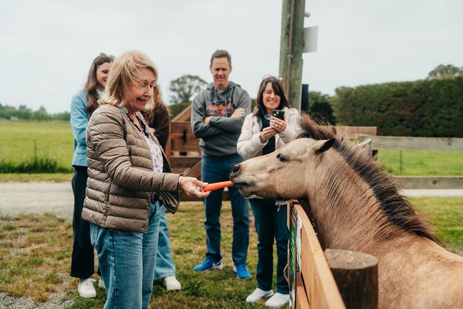 Sheep Farm Day Trip from Christchurch + Lunch and Winery visit. - Waipara wine at Georges Road Wines