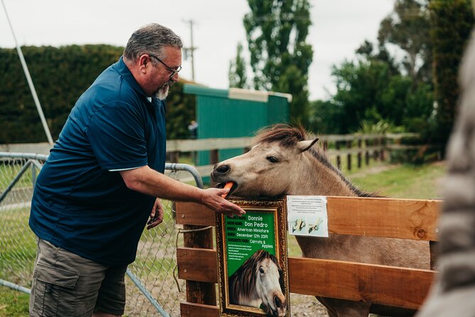 Sheep Farm Day Trip from Christchurch + Lunch and Winery visit. - What the $183.07 price really covers