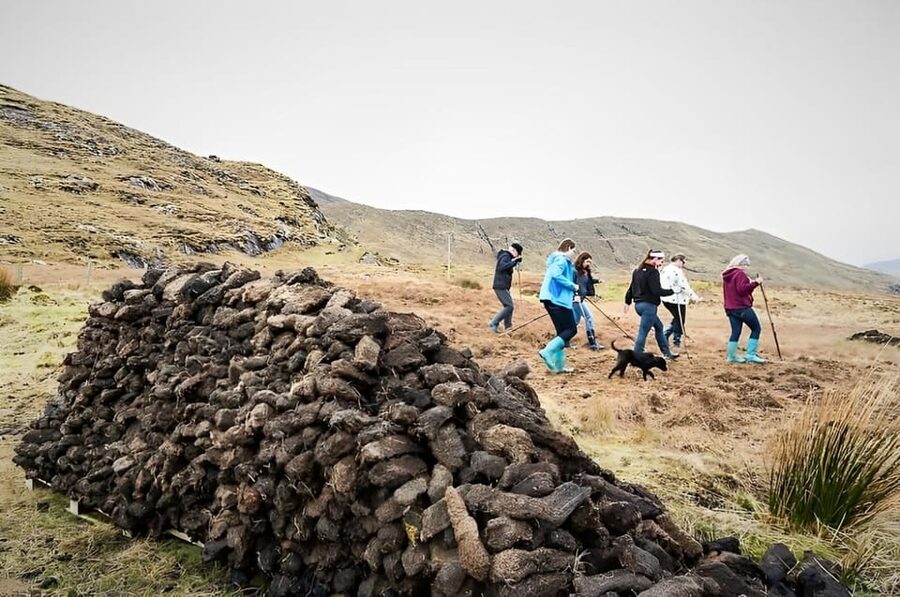 Sheepdog herding demo on working sheep farm. Galway. Guided. - A working farm, not a staged farm show