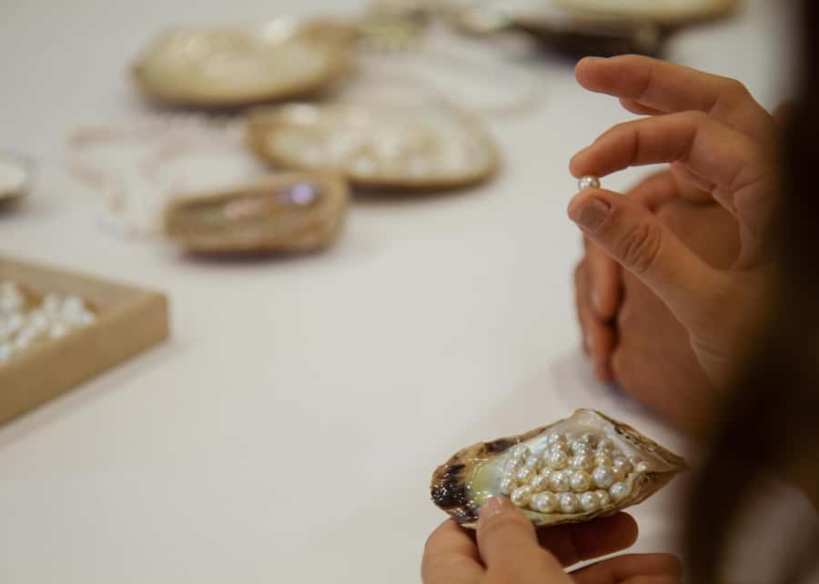 Shell to Showroom - Sydney's only Pearl Farm Experience - The Hawkesbury River cruise and oyster leases