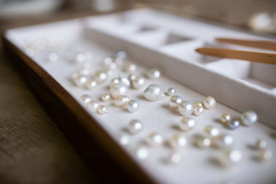 Shell to Showroom - Sydney's only Pearl Farm Experience - Starting at Mooney Mooney and the Shellar Door