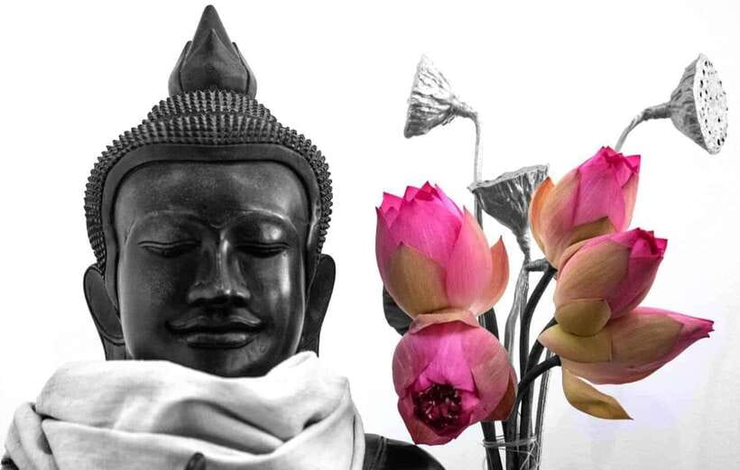 Siem Reap Lotus Silk Farm Discovery tour & Lake experience - Key points before you book
