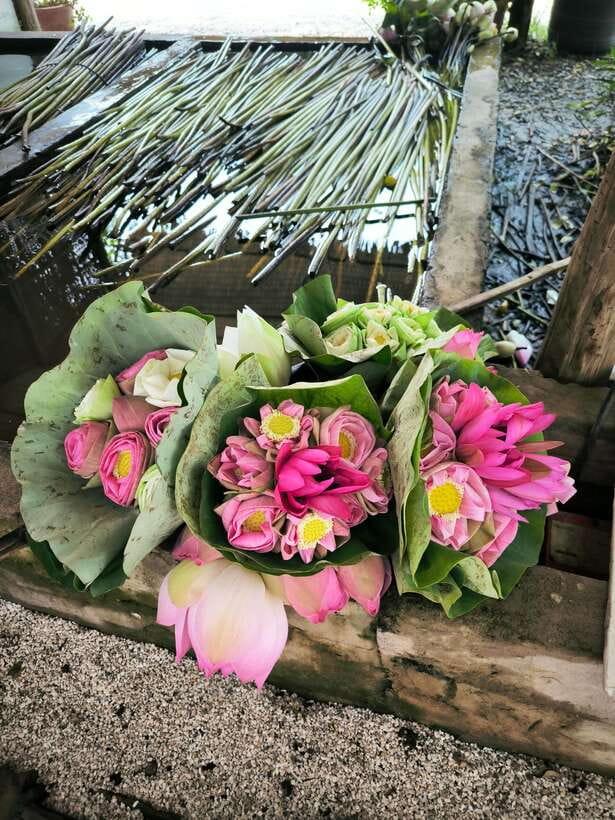 Siem Reap Lotus Silk Farm Discovery tour & Lake experience - Lotus tea, biscuits, and a rooftop pause