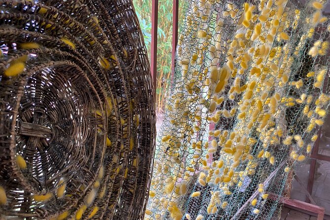 Siem Reap: Silk Farm & Countryside Offbeat Jeep Tour - Temples and the quieter side of Cambodia