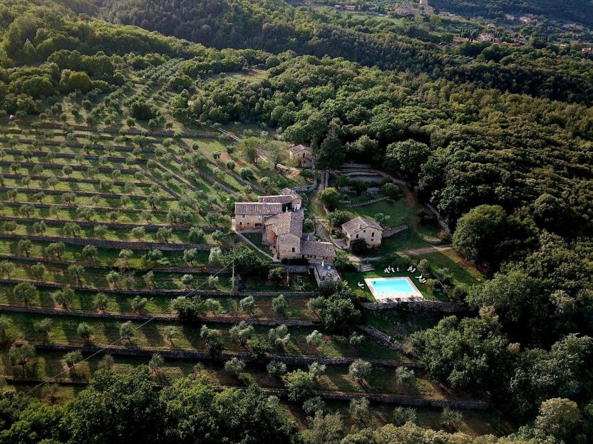 Siena countryside: cooking class in a real Tuscan farmhouse - Seasonal starters and traditional Tuscan desserts
