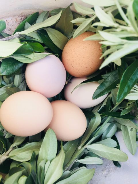 Siena countryside: cooking class in a real Tuscan farmhouse - Who will enjoy this farmhouse class