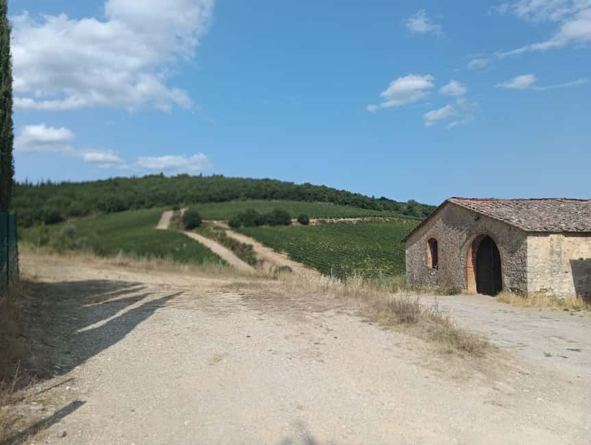 Siena: Small-group Cooking Class in a Chianti Farm - Arriving at the Chianti farmhouse