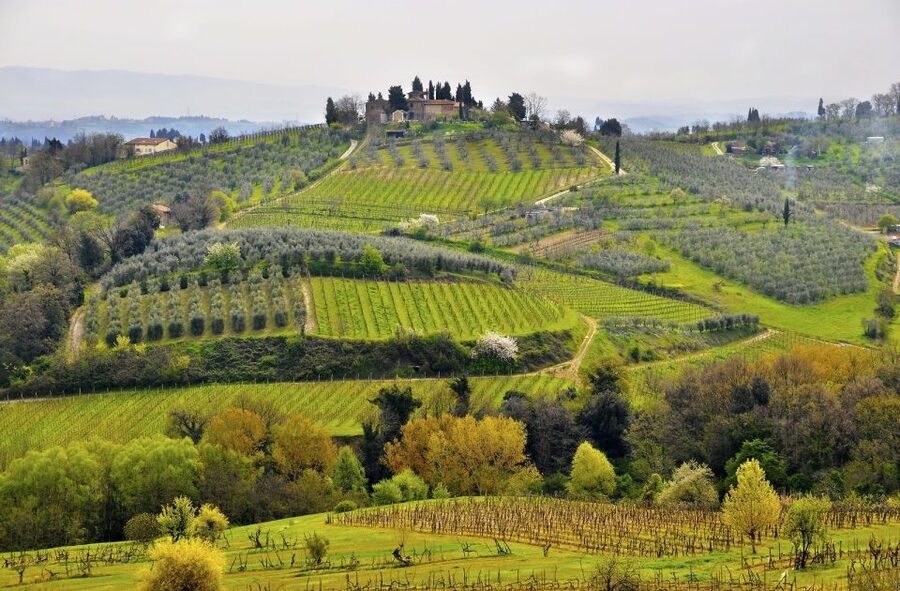 Siena: Small Group Cooking Class in Chianti Farmhouse - FAQ