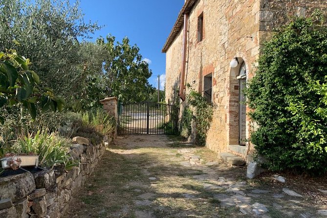 Siena: Small group Cooking Class in Chianti Farmhouse - Who Will Enjoy This Class Most