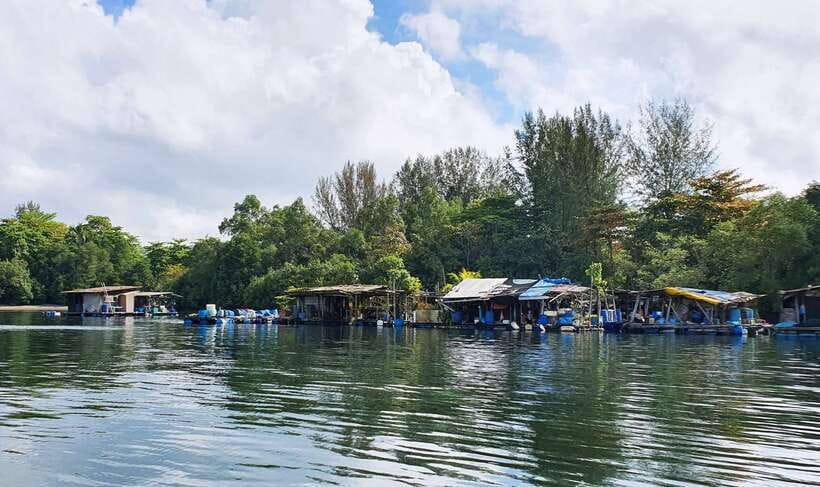 Singapore: Guided Boat Tour and Kelong Fish Farm Visit - Mangroves, fishing channels, and sea life