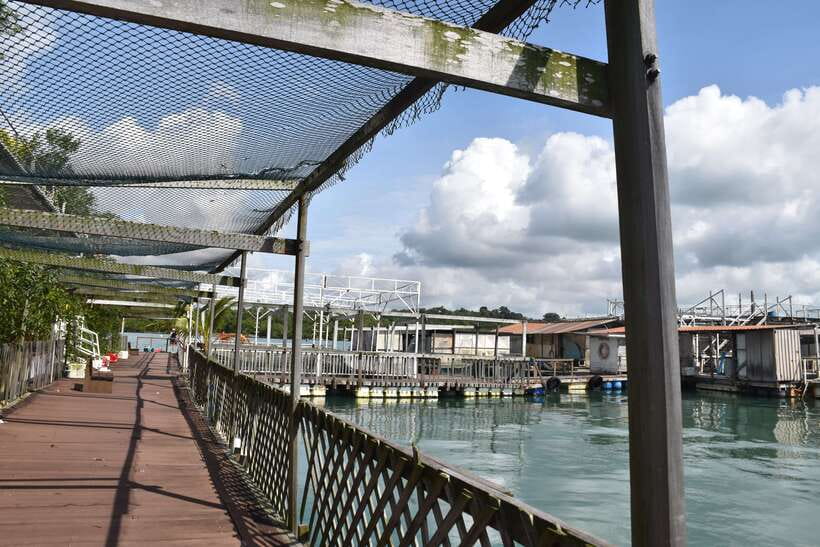 Singapore: Guided Boat Tour and Kelong Fish Farm Visit - Why the small group changes the experience