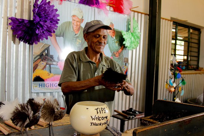 Skip the Line: Highgate Ostrich Farm Tour Ticket - The main yard: eggs, feathers, and ostrich facts