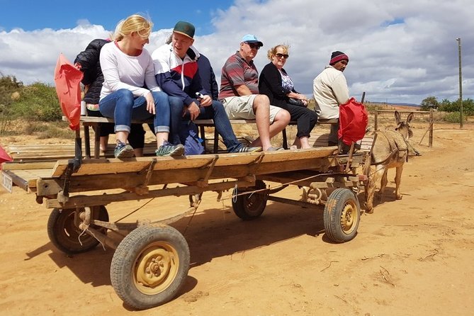 Skip the Line: Highgate Ostrich Farm Tour Ticket - The farm areas and Klein Karoo views