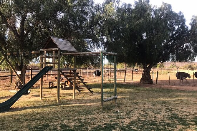 Skip the Line: Highgate Ostrich Farm Tour Ticket - Food, shopping, and the end of the visit