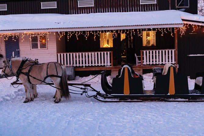 Sleigh Ride w/ snacks - Experience Arctic Farm Life - Key points before you book