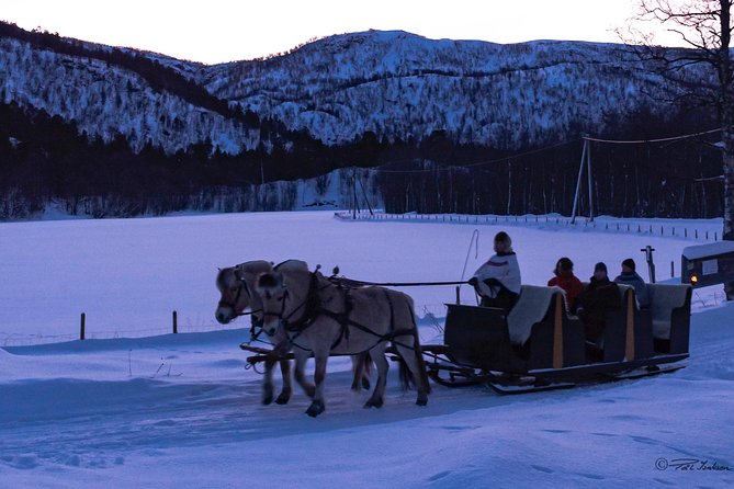 Sleigh Ride w/ snacks - Experience Arctic Farm Life - Practical planning for cold weather and comfort