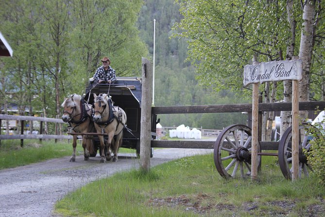 Sleigh Ride w/ snacks - Experience Arctic Farm Life - Is the $183 price fair?