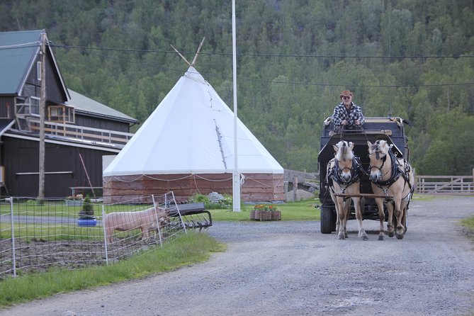 Sleigh Ride w/ Tapas Meal - Experience Arctic Farm Life - Tapas by the fire in a Sami lavvo