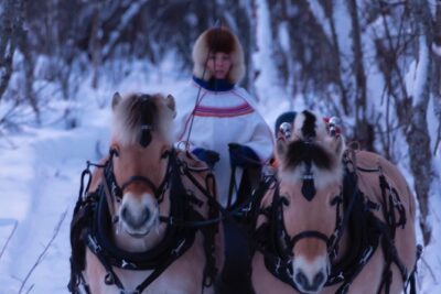 Sleigh Ride w/ Tapas Meal – Experience Arctic Farm Life
