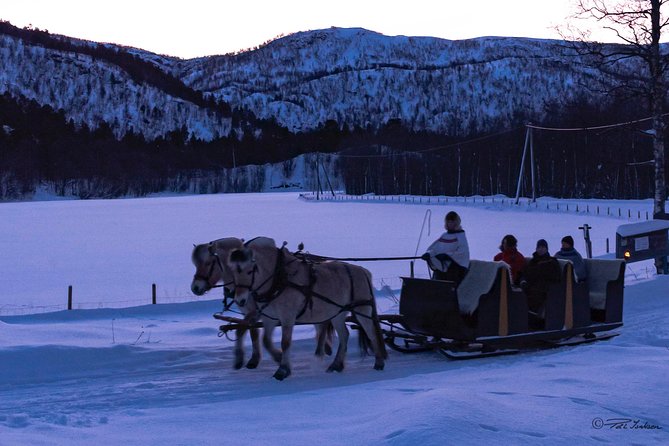 Sleigh Ride w/ Tapas Meal - Experience Arctic Farm Life - What makes the family setting valuable